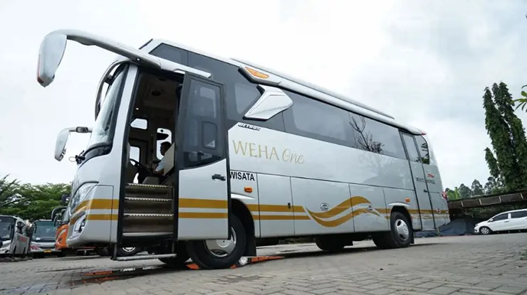 Bus White Horse Weha One