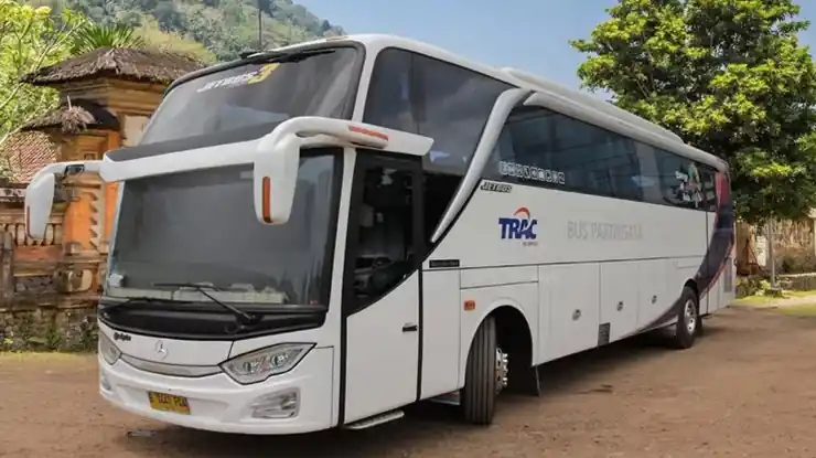 Luxury Bus TRAC Pariwisata Mewah