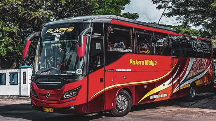 PO Putera Mulya Bus Terbaik di Indonesia