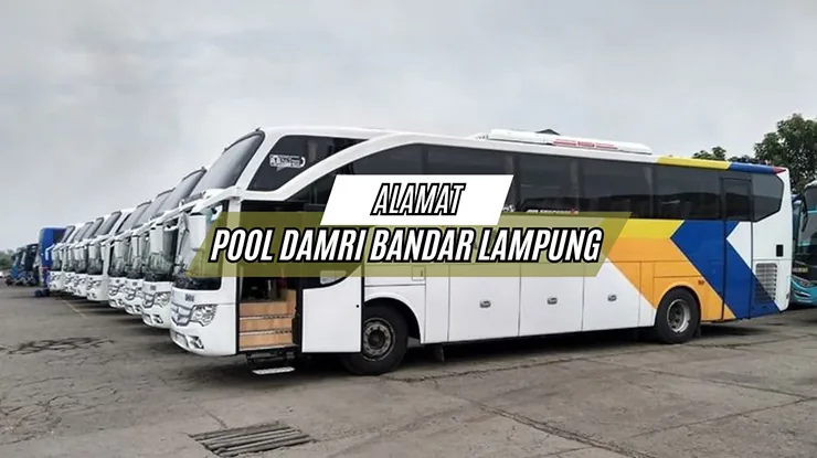 Alamat Pool DAMRI Bandar Lampung