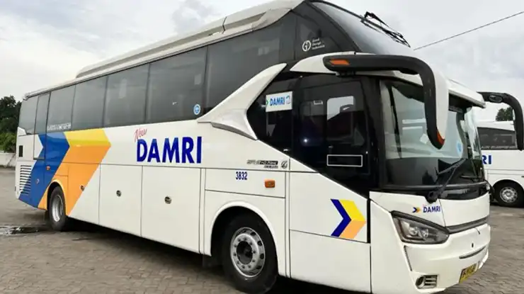 Harga Tiket Bus DAMRI Bekasi Lampung Terbaru