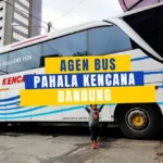 Agen Bus Pahala Kencana Bandung