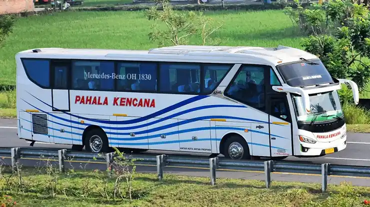 Harga Tiket Bus Surabaya Jakarta Terbaru