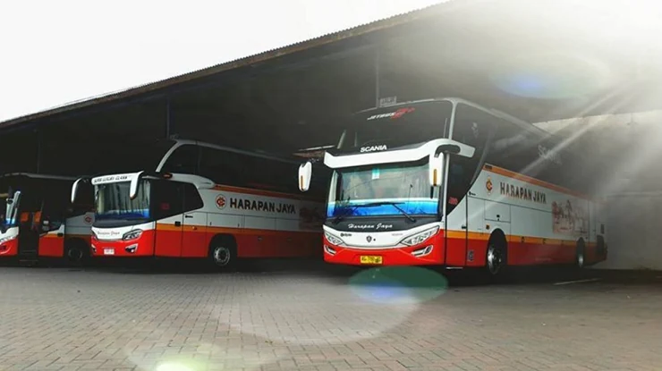 Kelas Bus Harapan Jaya Malang Semarang