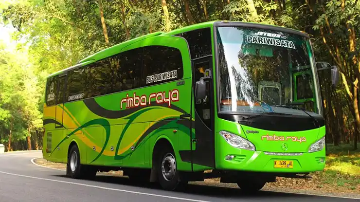 PO Rimba Raya Bus Pariwisata Terbaik di Semarang
