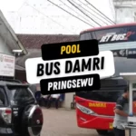 Pool Bus DAMRI Pringsewu
