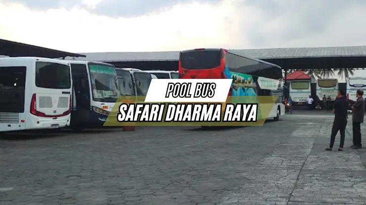 Pool Bus Safari Dharma Raya