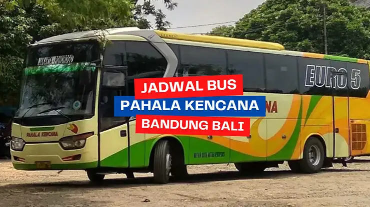Jadwal Bus Pahala Kencana Bandung Bali