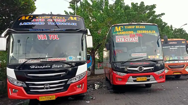 Jadwal Keberangkatan Bus Harapan Jaya Tulungagung Surabaya