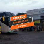 Agen Sinar Jaya Ciputat